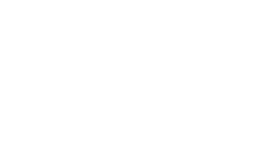 Congaree Foundation White