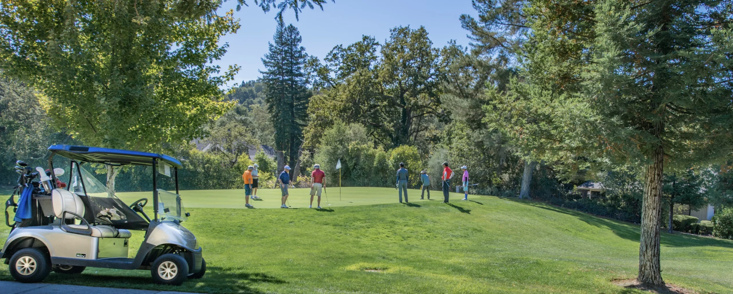 Golfers standing around a hole on the golf course.